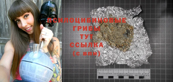 дурь Богданович