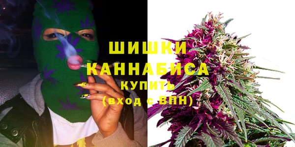 Альфа ПВП Богородск