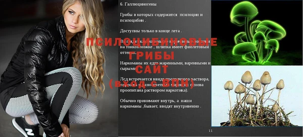эйфоретик Богородицк