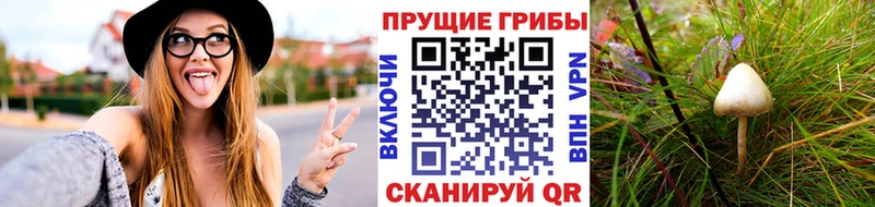 дарнет шоп Буинск Псилоцибиновые грибы мухоморы